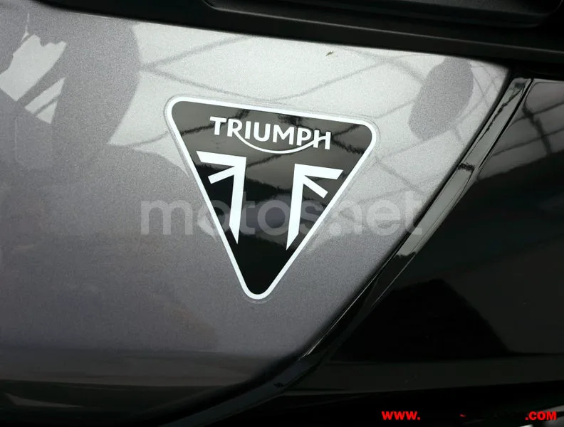 Triumph Tiger 900 - Vista 9