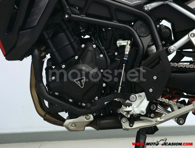 Triumph Tiger 900 - Vista 10