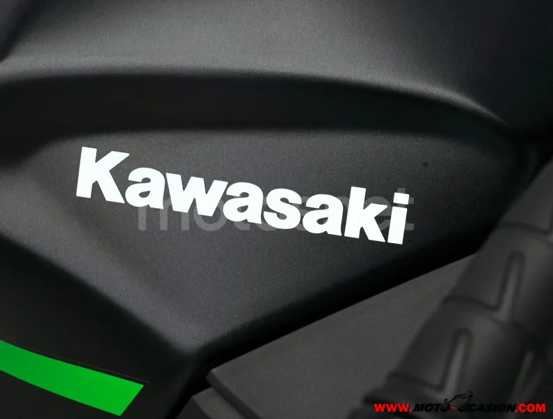 Kawasaki Ninja 500 - Vista 9