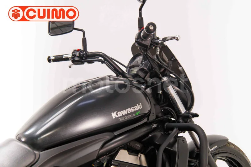 Kawasaki Vulcan S - Vista 16