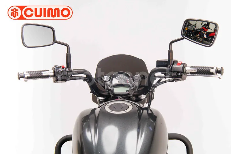 Kawasaki Vulcan S - Vista 18