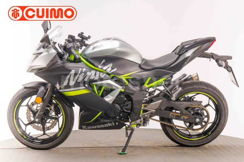 Kawasaki Ninja 125 - Vista 8