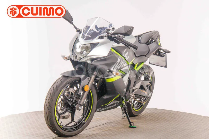 Kawasaki Ninja 125 - Vista 9