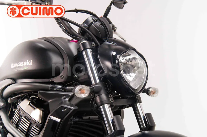 Kawasaki Vulcan S - Vista 11