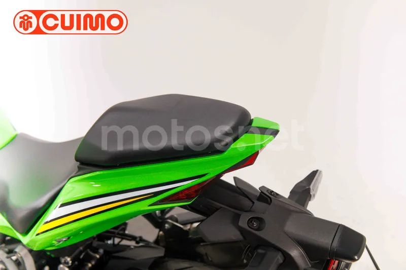 Kawasaki Ninja ZX-4RR - Vista 22