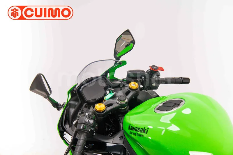 Kawasaki Ninja ZX-4RR - Vista 23