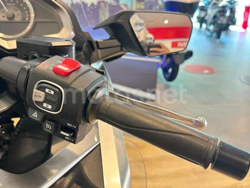 Honda Gold Wing - Vista 17