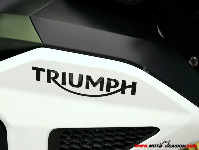 Triumph Tiger 1200 Rally - Vista 9