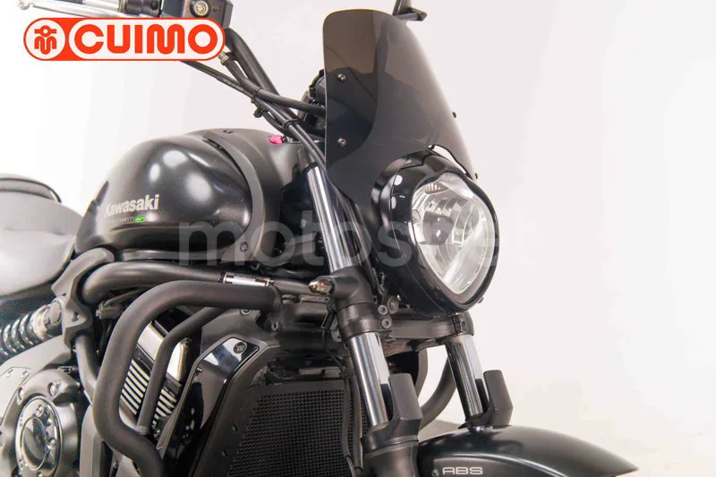 Kawasaki Vulcan S - Vista 15
