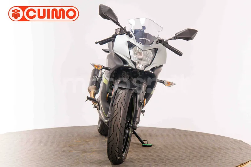 Kawasaki Ninja 125 - Vista 10