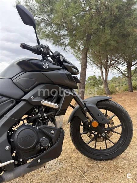 Yamaha MT-125 - Vista 5