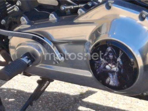 Harley-Davidson Softail Standard - Vista 3
