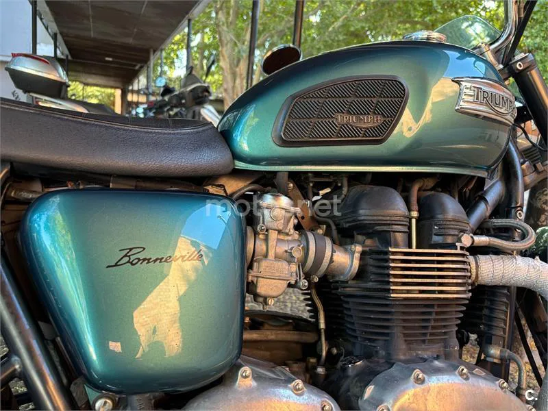 Triumph Bonneville T100 - Vista 5