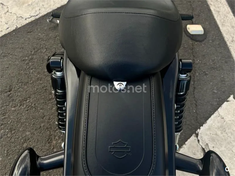 Harley-Davidson Iron 883 - Vista 6