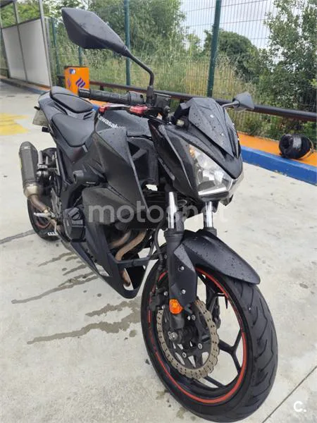 Kawasaki Z300 - Vista 6