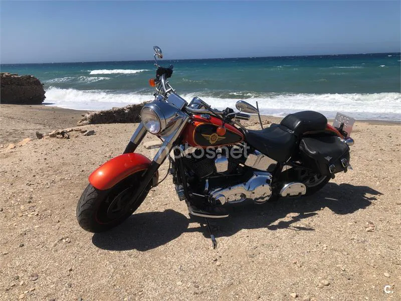 Harley-Davidson Heritage Softail - Vista 3