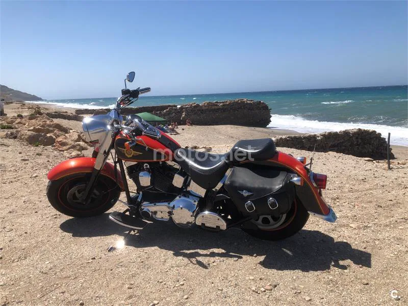 Harley-Davidson Heritage Softail - Vista 5