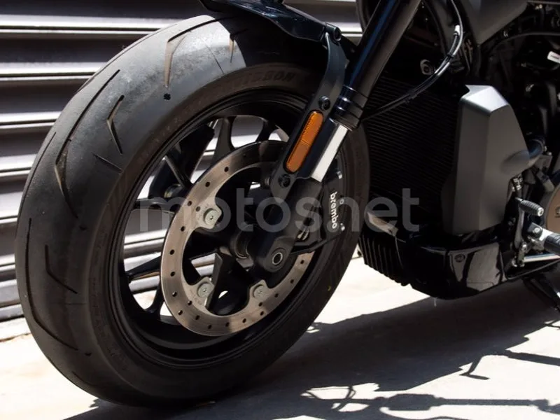 Harley-Davidson Sportster S - Vista 15