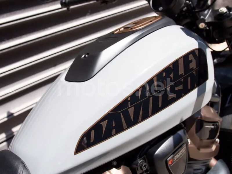 Harley-Davidson Sportster S - Vista 7