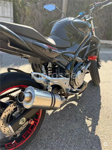 Suzuki Gladius 650 - Vista 13