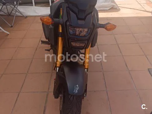 Honda MSX125 Grom - Vista 13