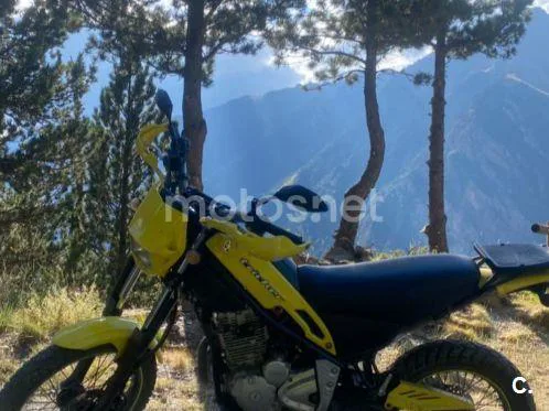 Yamaha Tricker - Vista 4