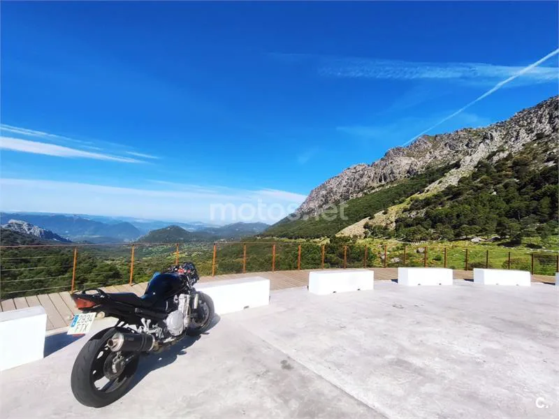 Suzuki Bandit 650 - Vista 4