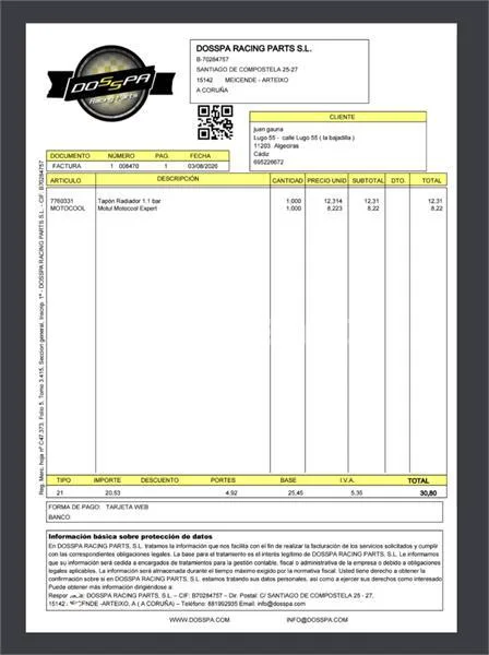 Yamaha FZ1 - Vista 10