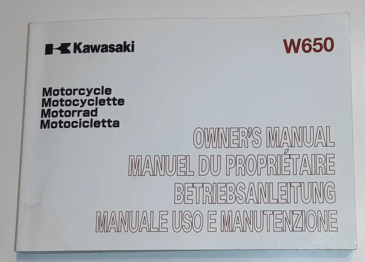 Kawasaki W650 – Vista 6