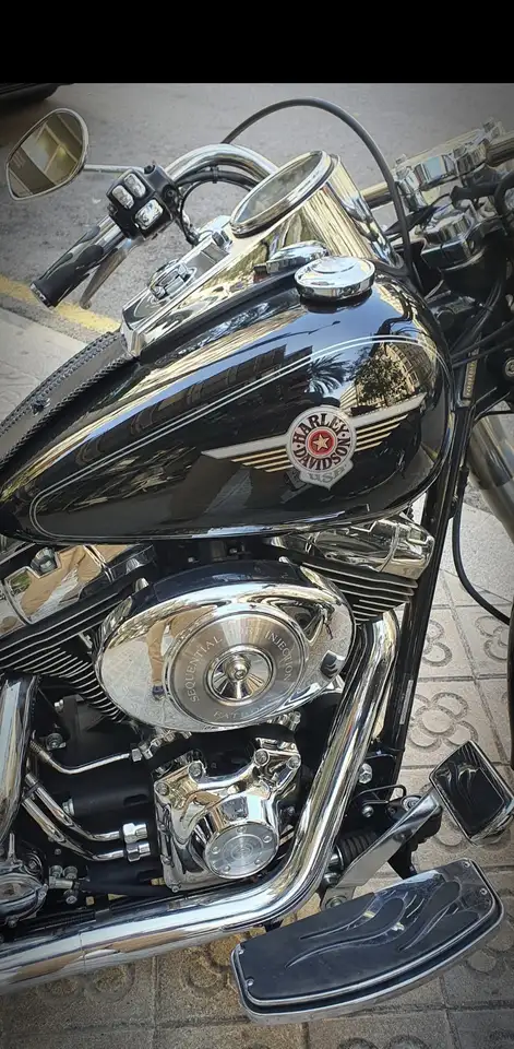 Harley-Davidson Fat Boy - Vista 3