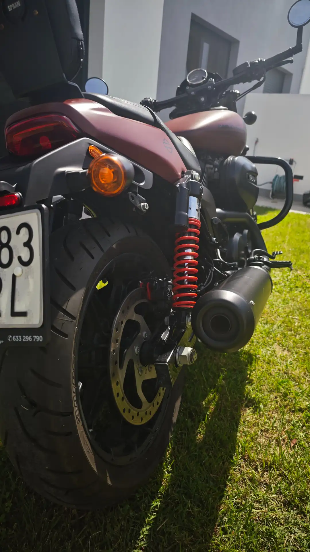 Harley-Davidson Street Rod – Vista 11