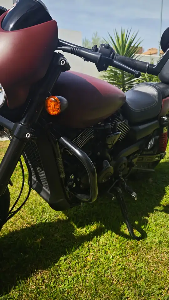 Harley-Davidson Street Rod – Vista 2