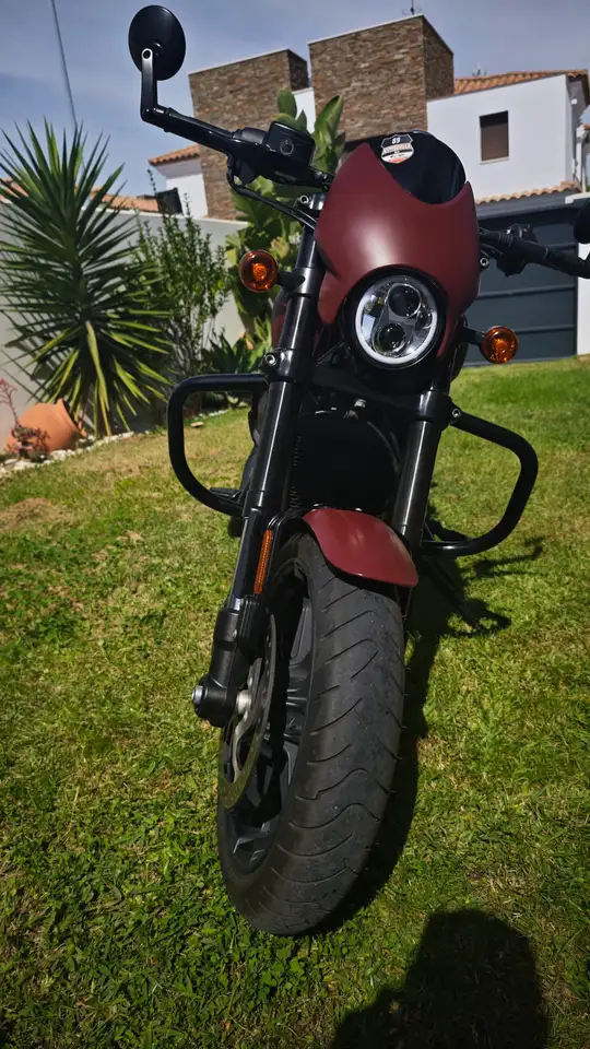 Harley-Davidson Street Rod – Vista 6