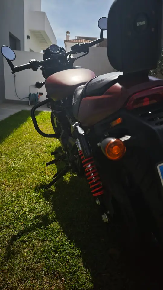 Harley-Davidson Street Rod – Vista 7