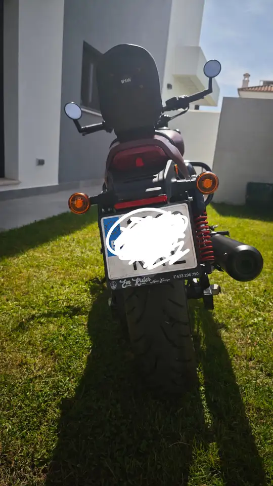 Harley-Davidson Street Rod – Vista 9