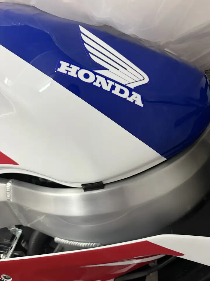 Honda CBR 900 RR Fireblade – Vista 9