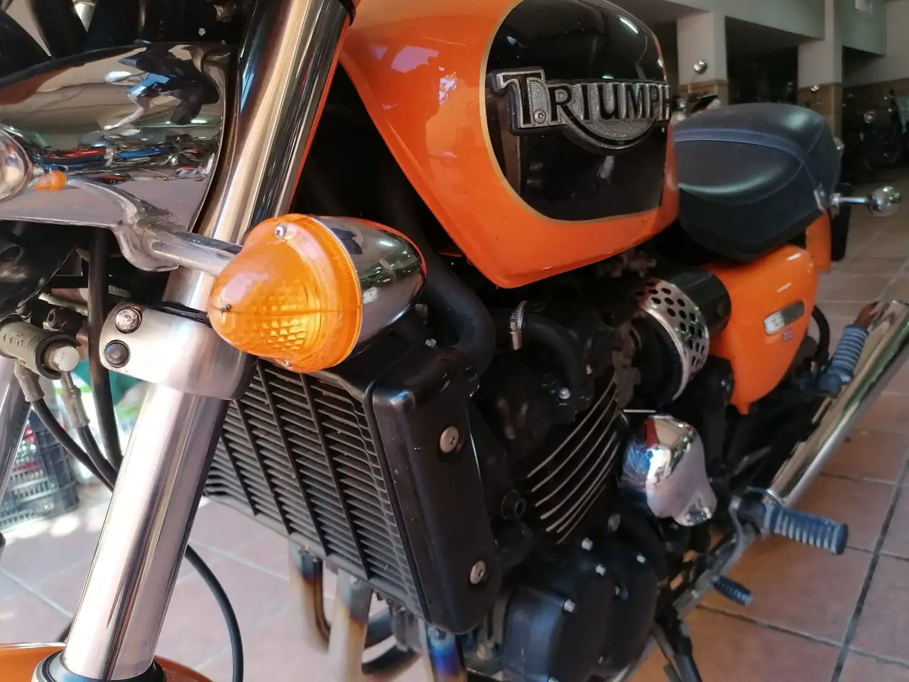 Triumph Thunderbird Sport – Vista 12