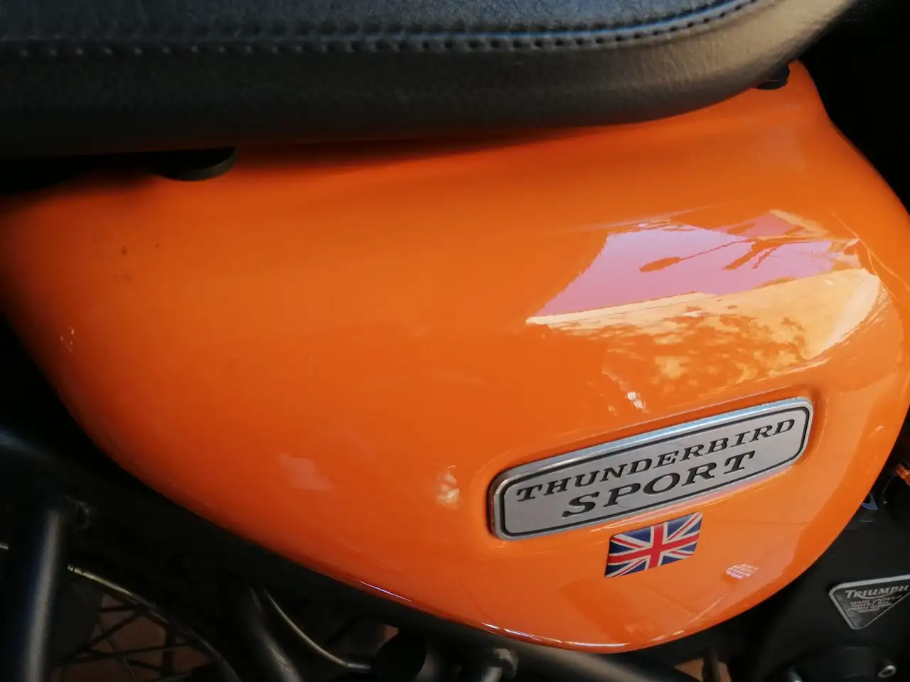 Triumph Thunderbird Sport – Vista 8