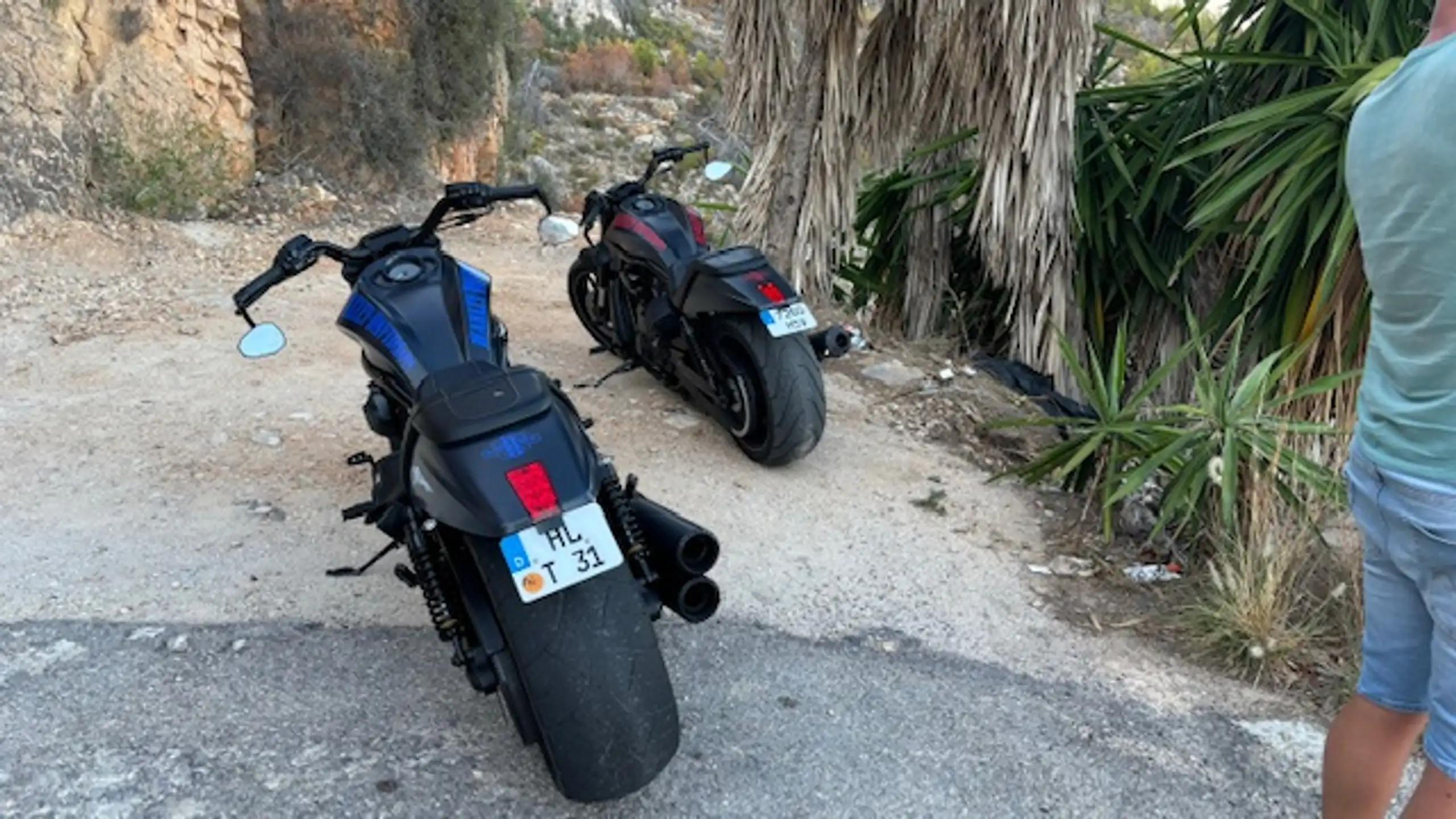 Harley-Davidson Night Rod – Vista 7