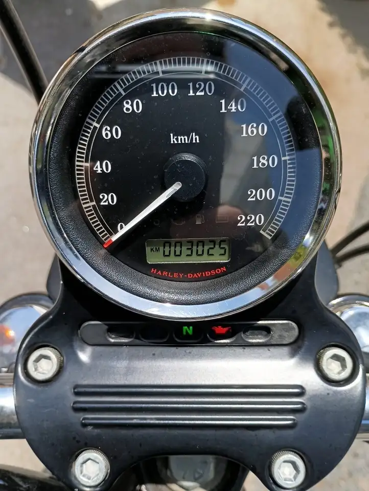 Harley-Davidson Sportster 1200 – Vista 11
