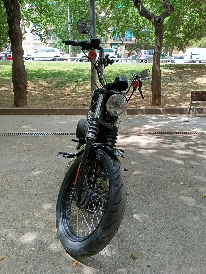 Harley-Davidson Sportster 1200 – Vista 10