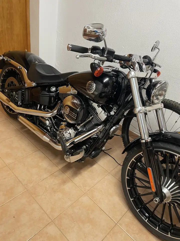 Harley-Davidson Softail – Vista 3