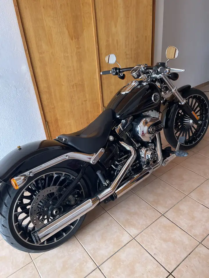 Harley-Davidson Softail – Vista 4