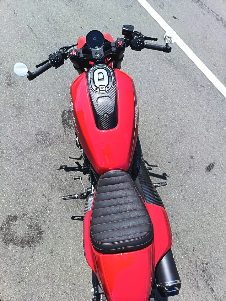 Harley-Davidson Sportster S - Vista 12