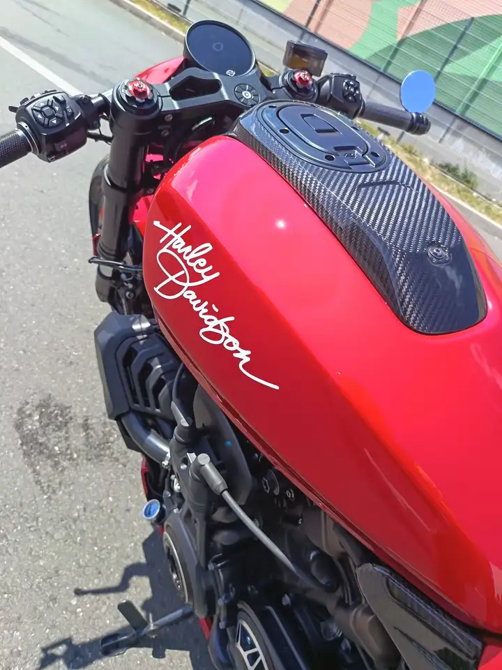 Harley-Davidson Sportster S - Vista 14