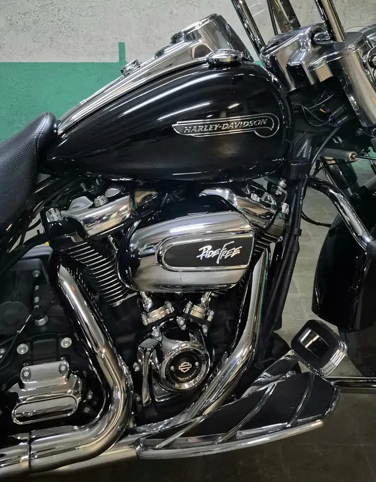 Harley-Davidson Freewheeler - Vista 5