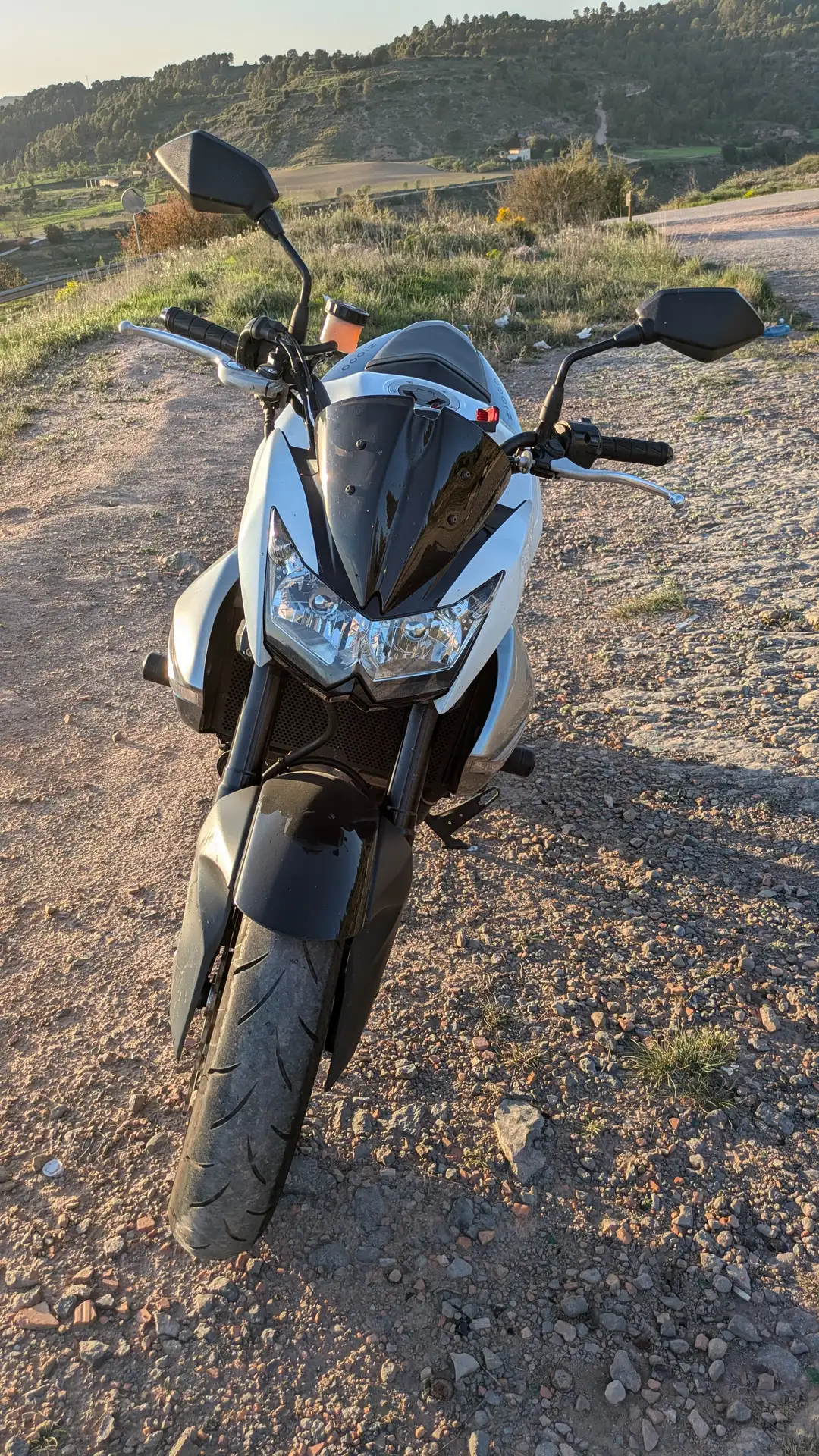 Kawasaki Z 1000 – Vista 3