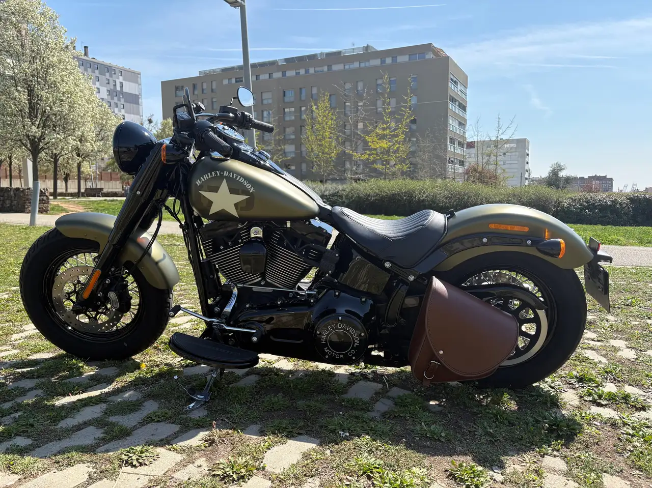 Harley-Davidson Softail Slim – Vista 2