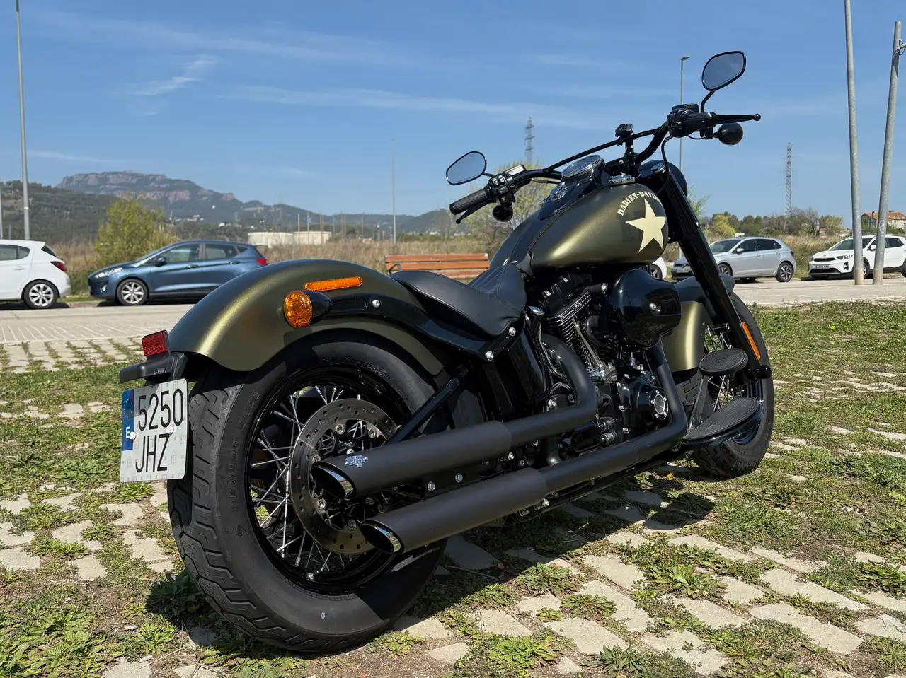 Harley-Davidson Softail Slim – Vista 5