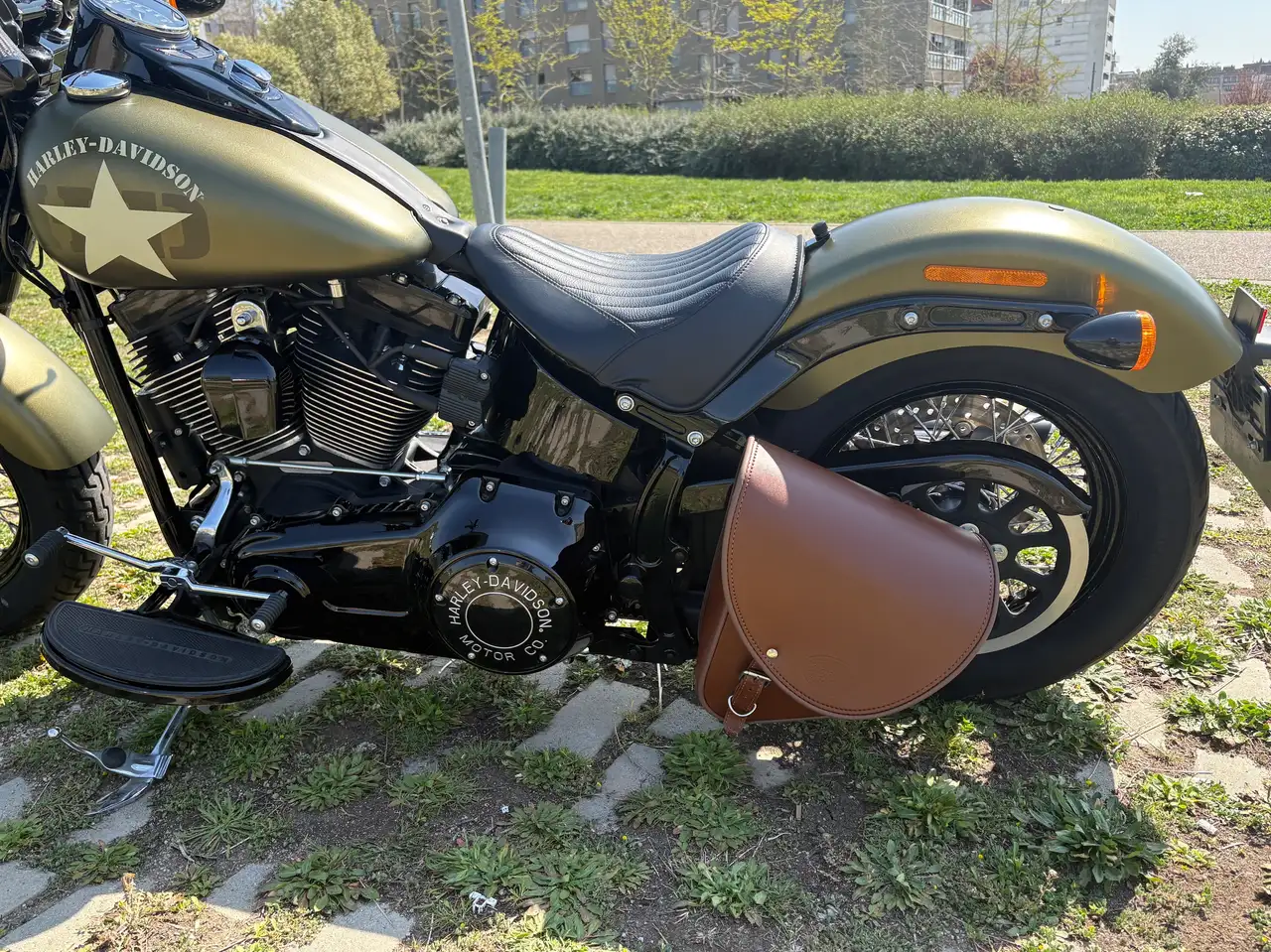 Harley-Davidson Softail Slim – Vista 8